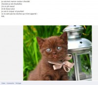 /album/galerie-de-photos-liens2/extrait-cc-2-jpg/